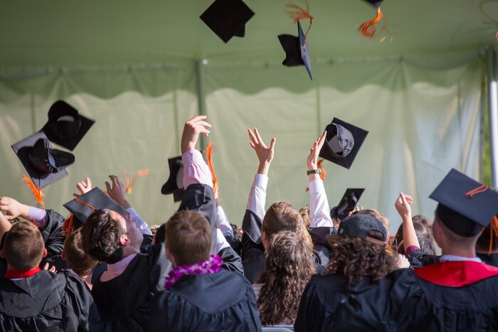 What To Do After Getting A B Tech Degree