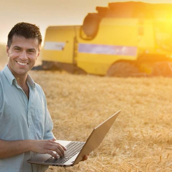 agricultural engineer with his laptop on wheat harvest