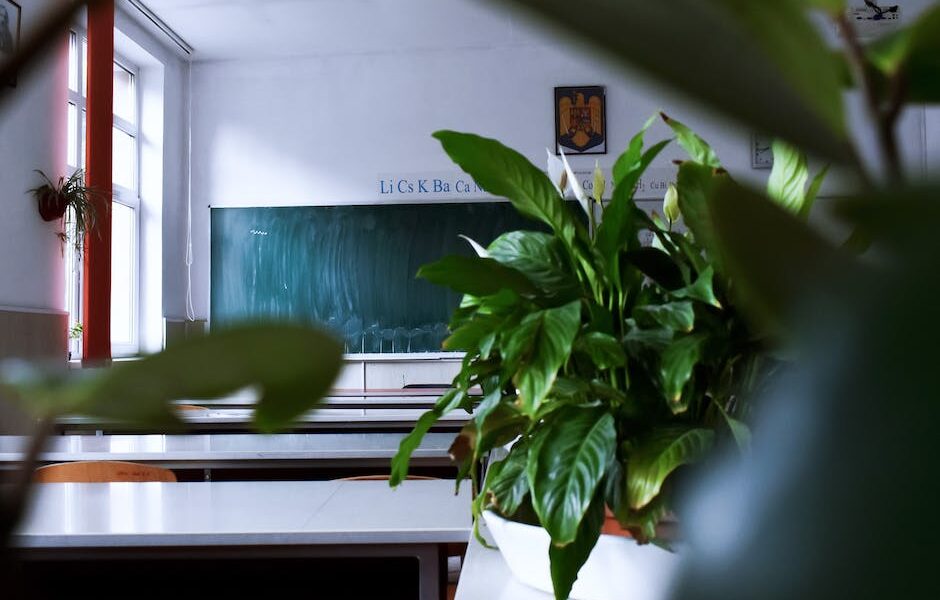 Choosing Vocational & Technical Programs: Assessing Skills, Financial Aid, Support Networks