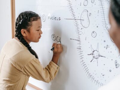 What Is A Cumulative GPA: Understanding the Overall Academic Record