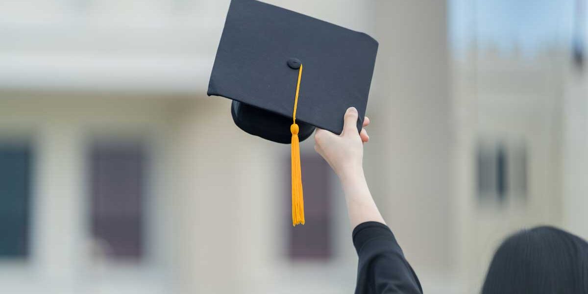 WHAT IS A BACHELOR OF SCIENCE DEGREE visual data 5