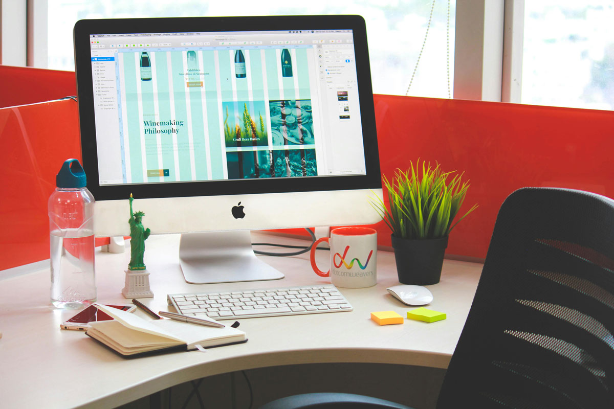 Align Degree With Career Path
