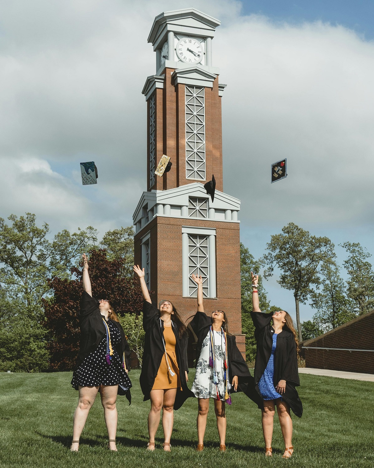 Bachelors in Environmental Studies
