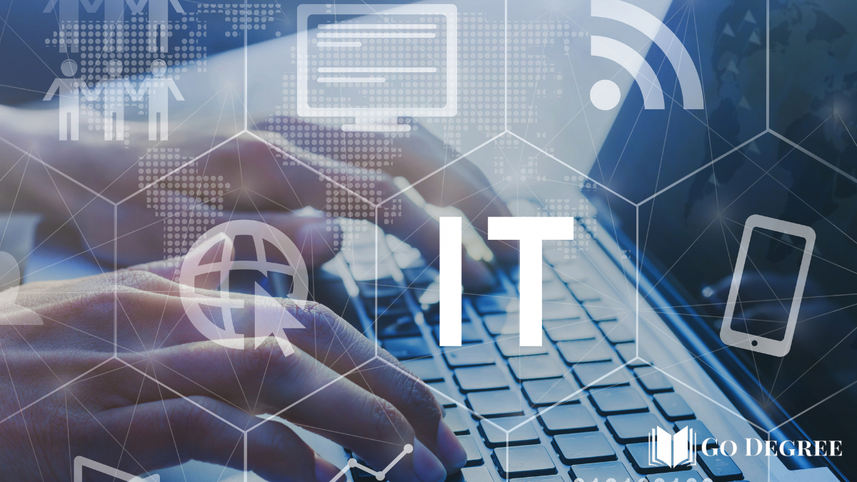Information Technology Roles