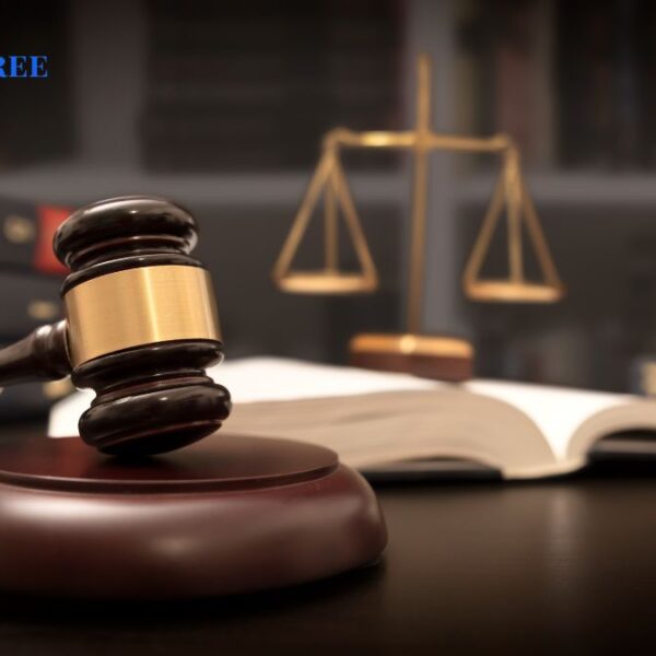 What Are the Specializations in Law Degrees