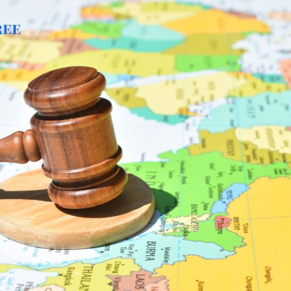 What Are the Top International Law Degrees